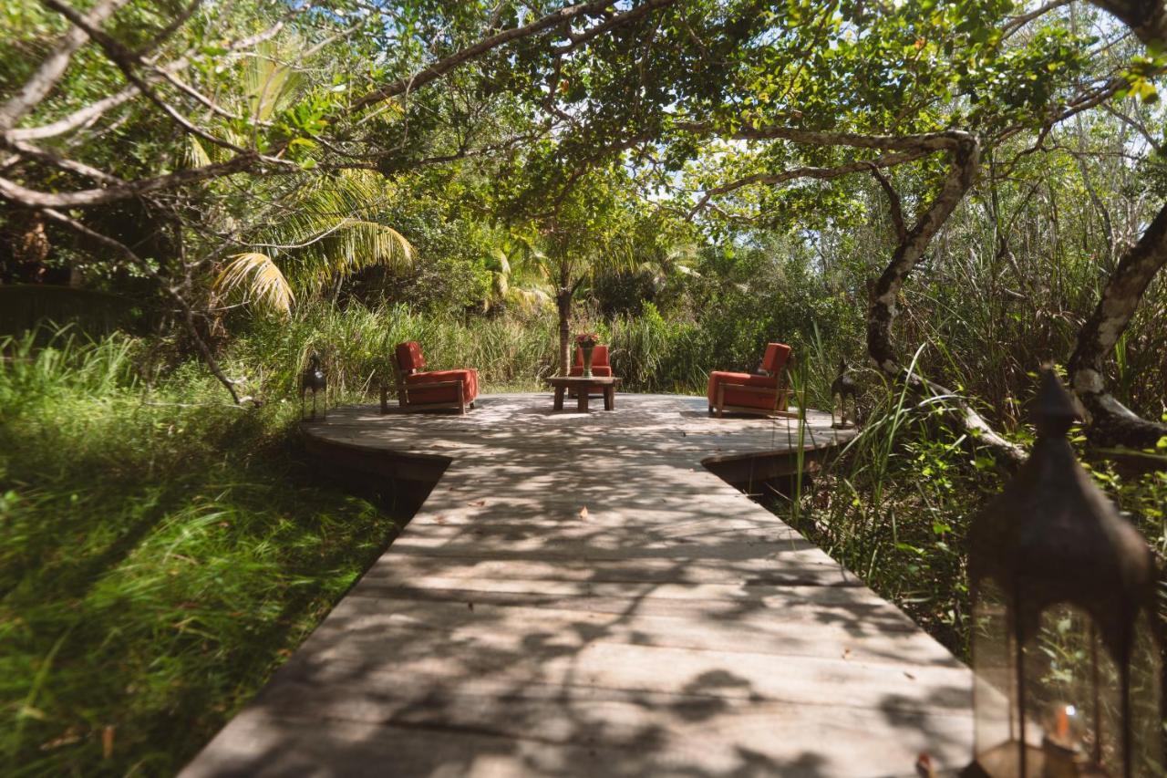 Casa Vive Bed & Breakfast