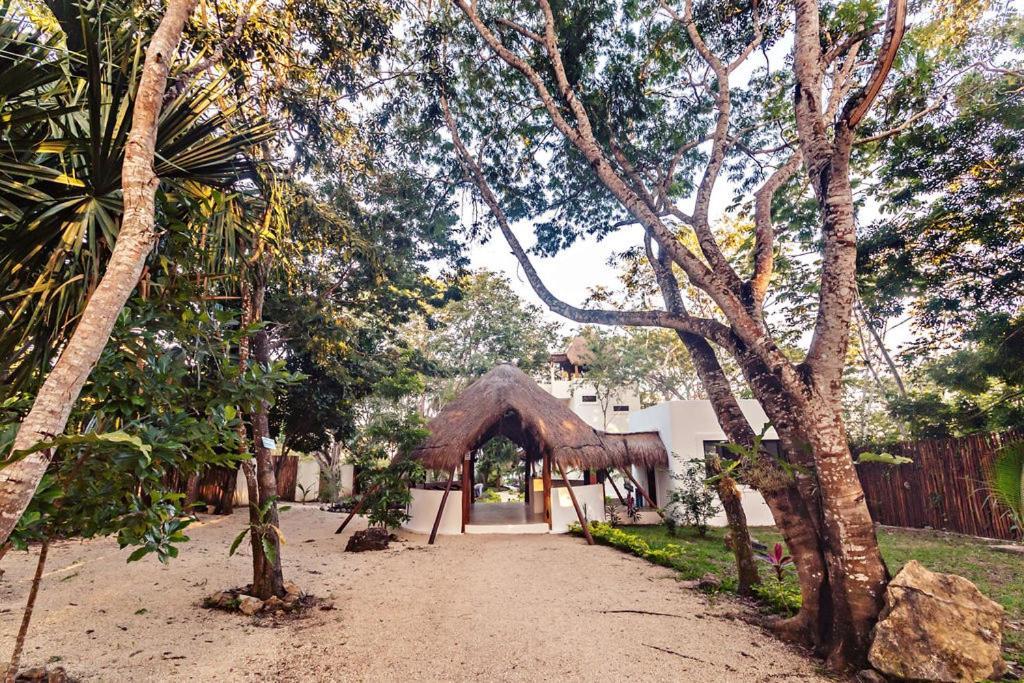 Mi Kasa Tu Kasa 4* Bacalar