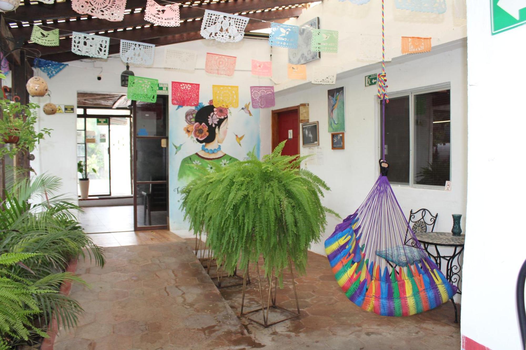 Colibrí 3*