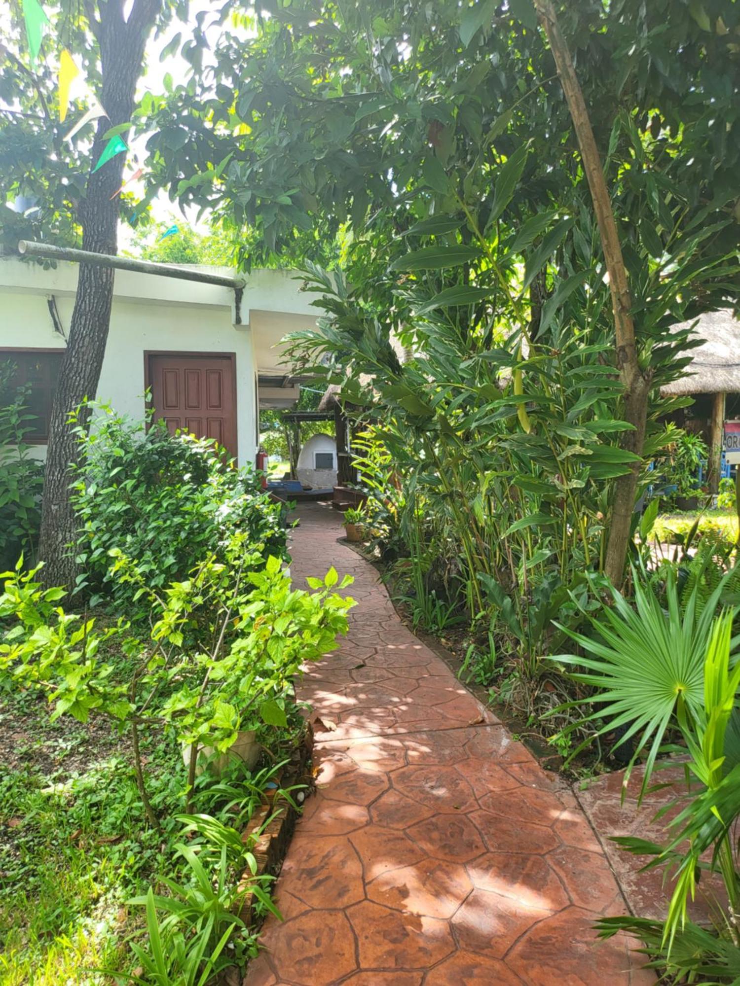 Colibrí Hotel