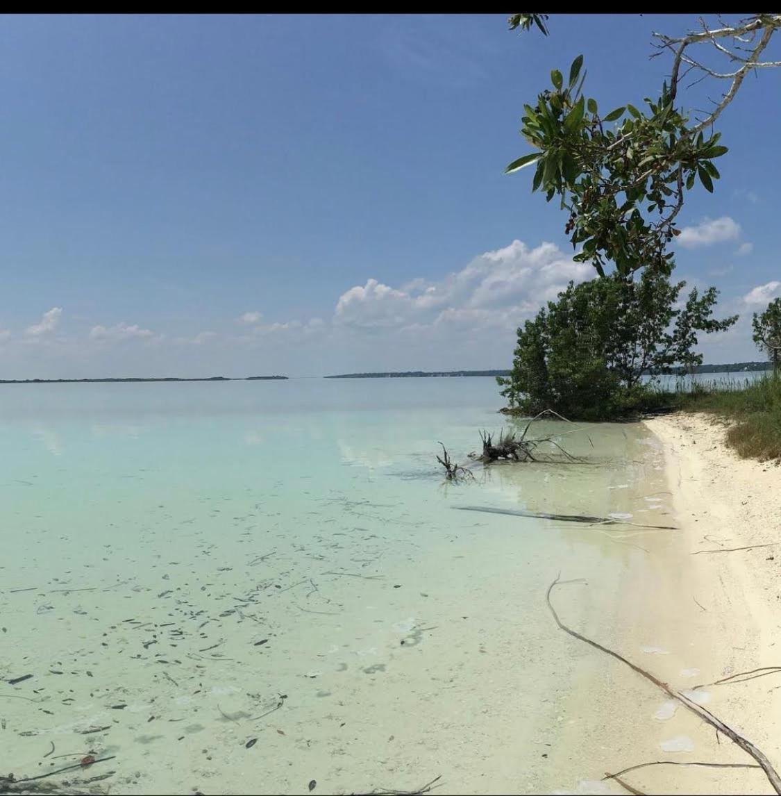 Casa Vive Bed & Breakfast Bacalar