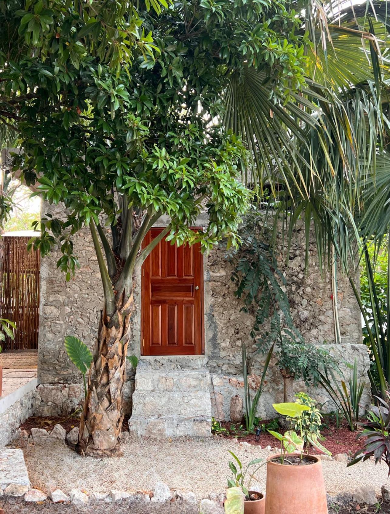 Shamalay - Nomad Experience * Bacalar