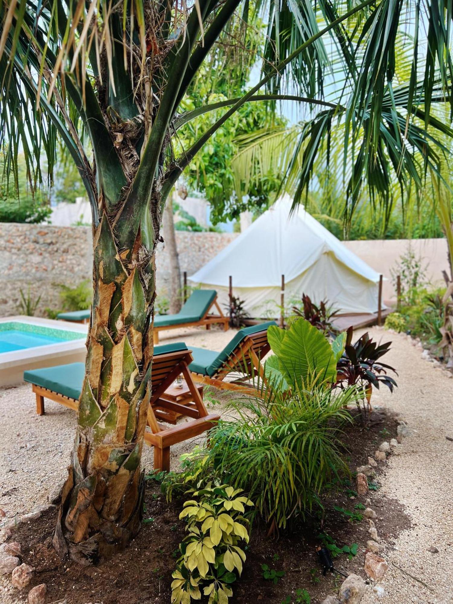 Shamalay - Nomad Experience