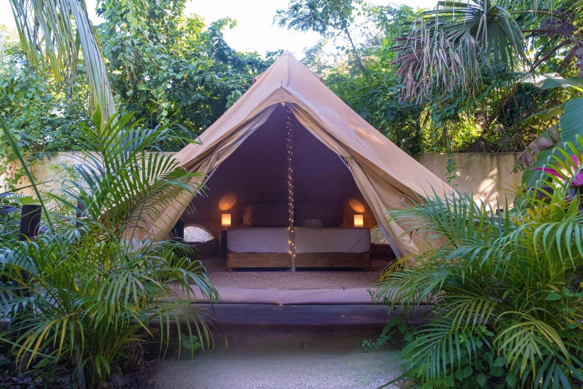 Shamalay - Nomad Experience *