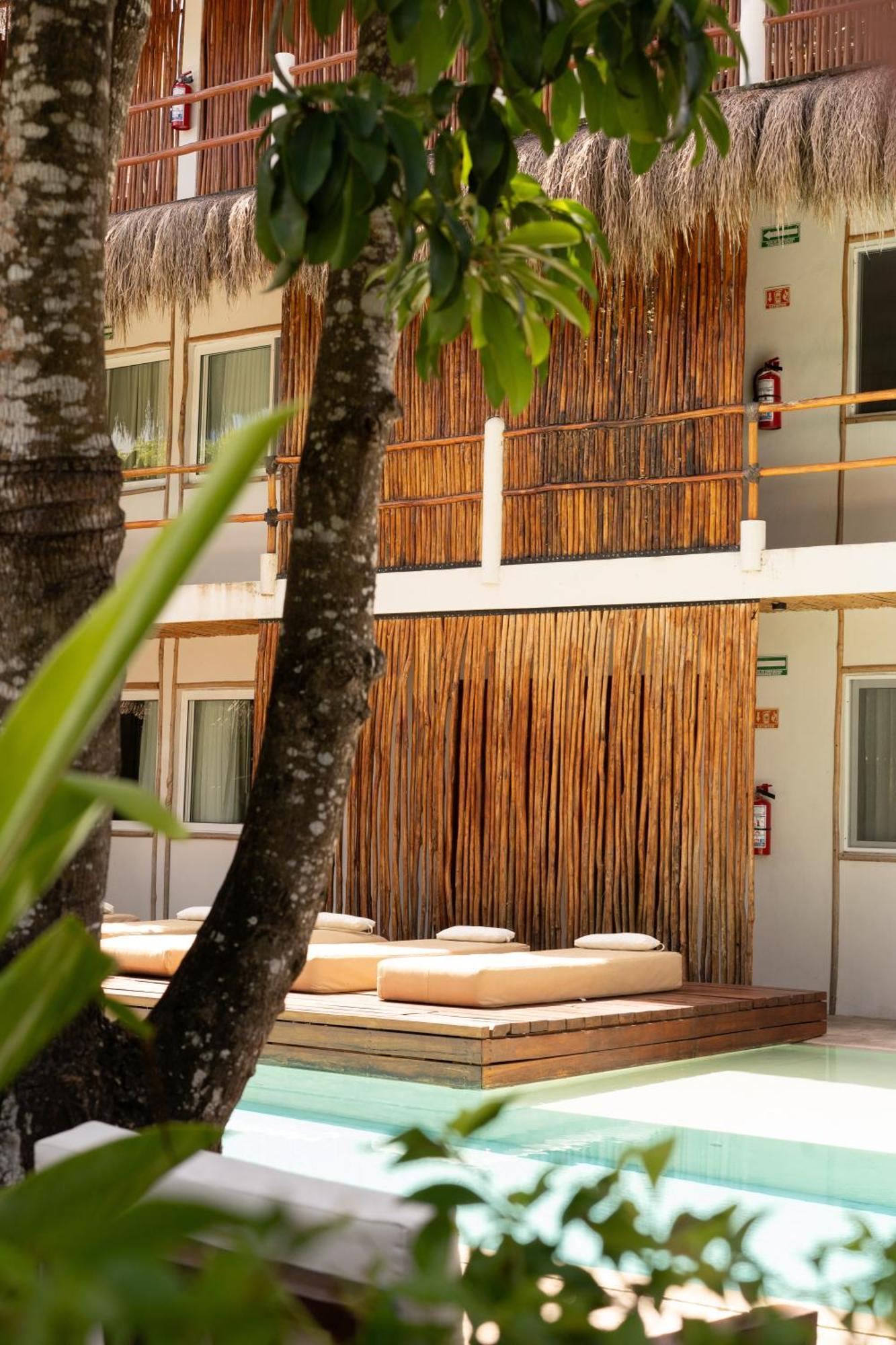 Agam 4* Bacalar