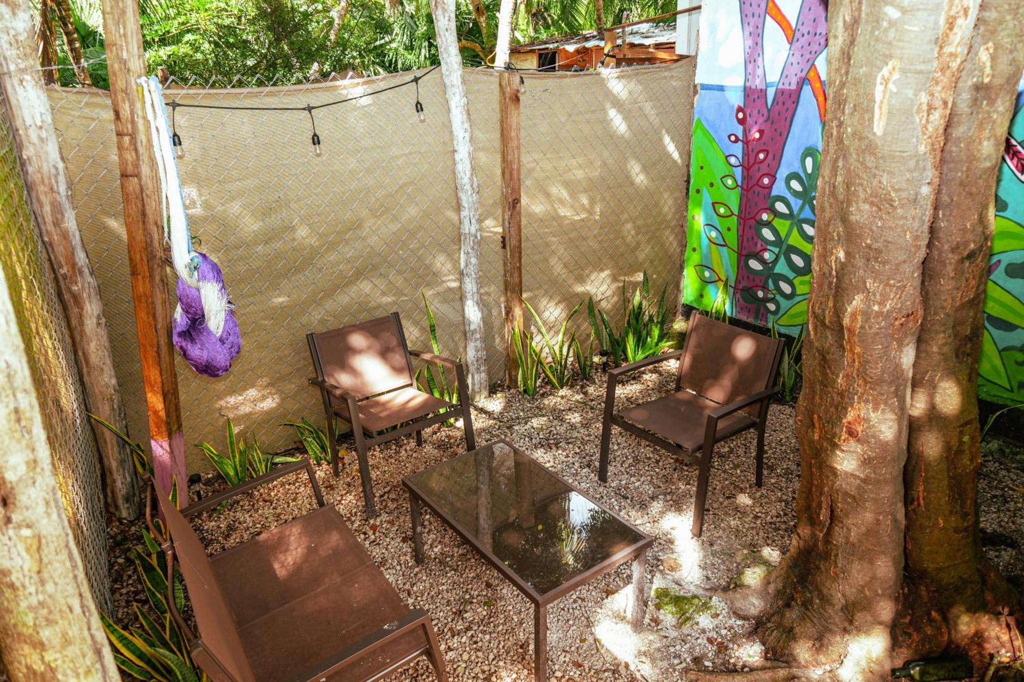 Selva - Free Bike Bacalar