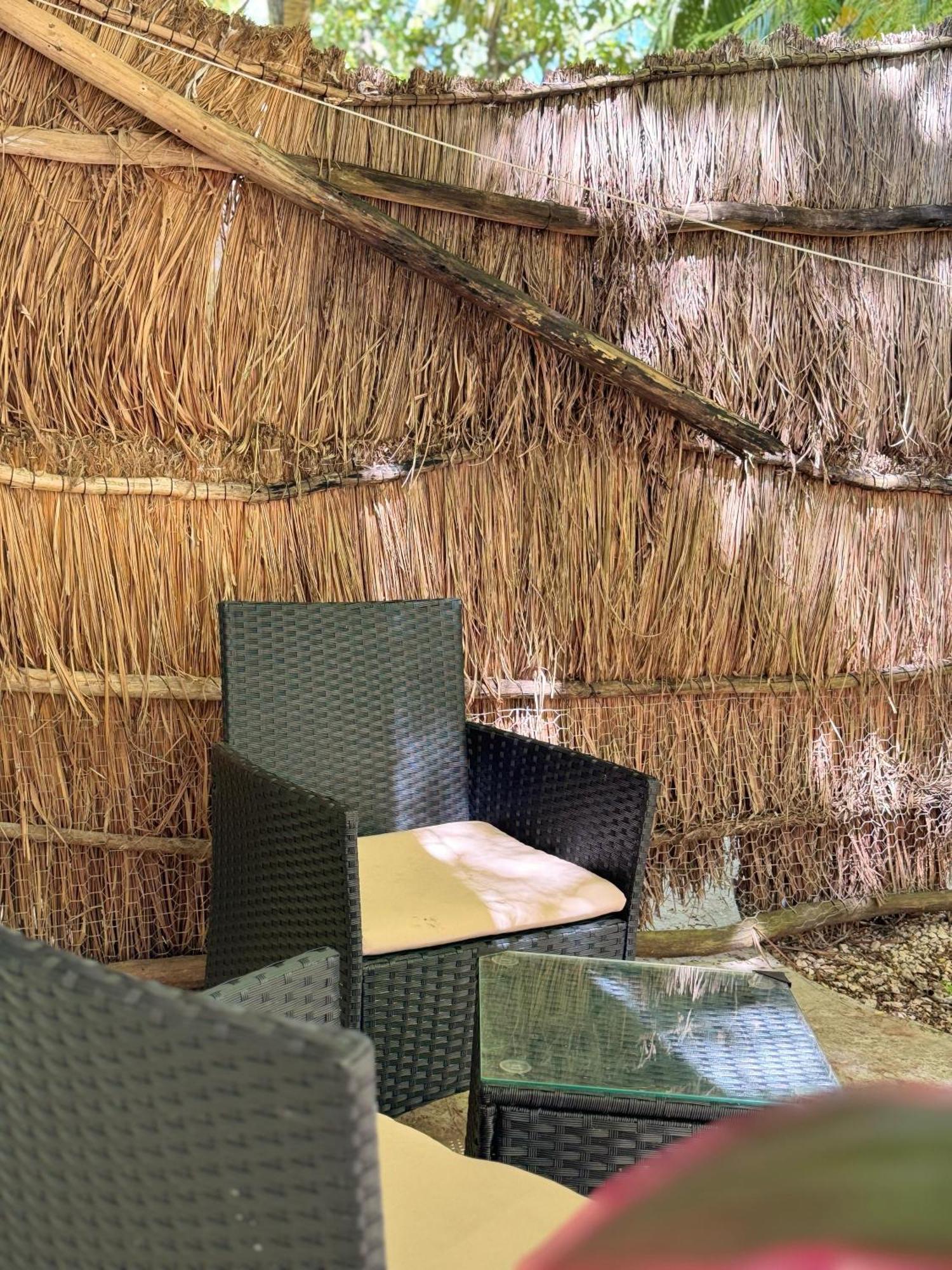Selva - Free Bike 3* Bacalar