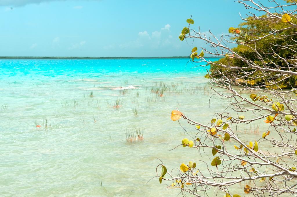 Rancho Encantado Bacalar