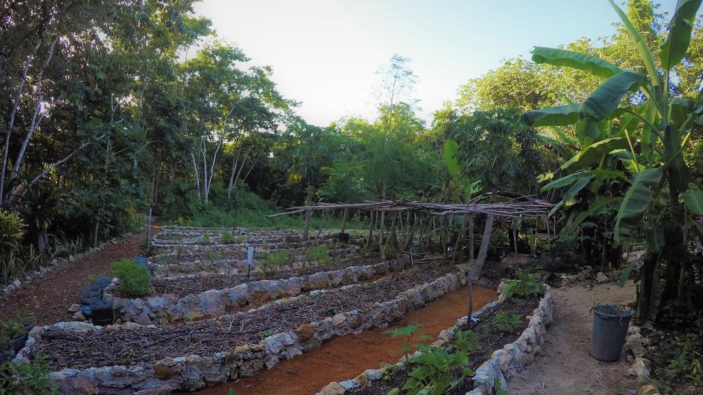 La Casa De Los Ninos Del Arbol Pensión *