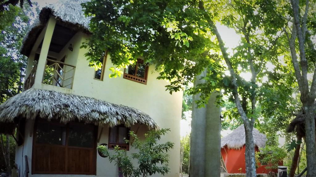 La Casa De Los Ninos Del Arbol Pensión