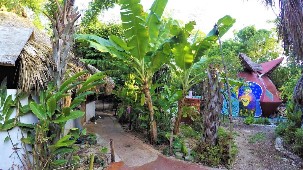 La Casa De Los Ninos Del Arbol * Bacalar