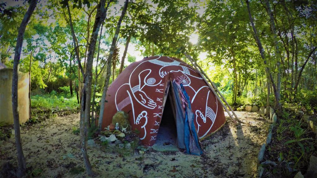 La Casa De Los Ninos Del Arbol Pensión *