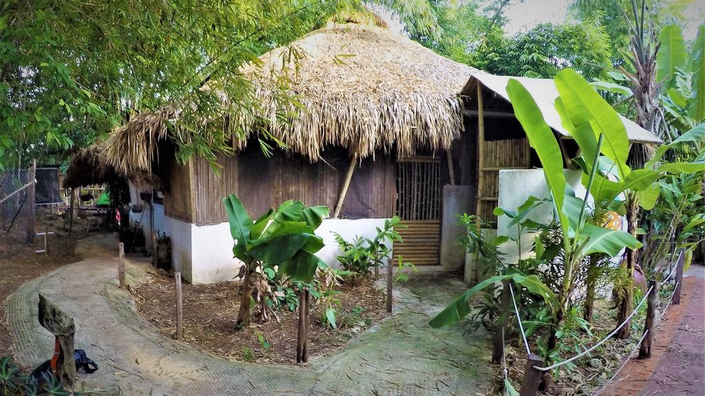 La Casa De Los Ninos Del Arbol Bacalar