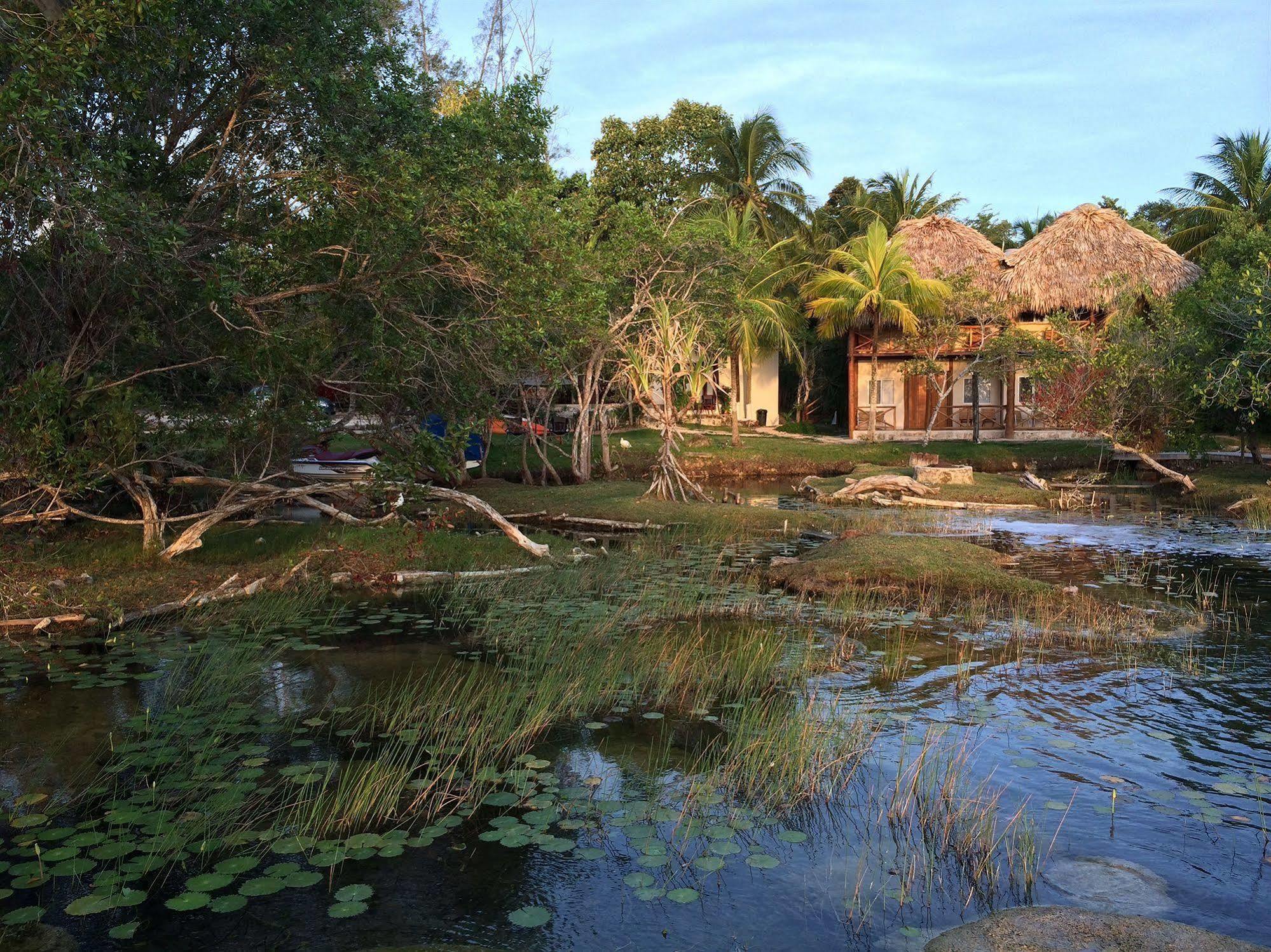 Casa Caracol Hotel 3*