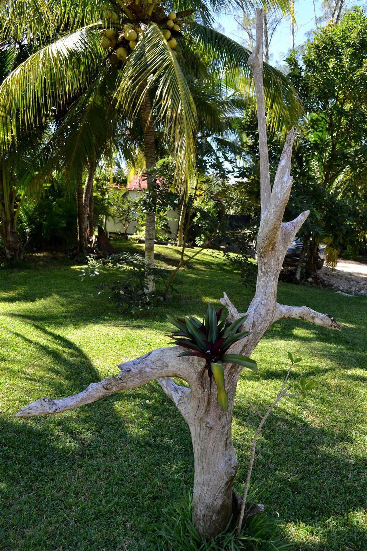 Casa Caracol Hotel 3*