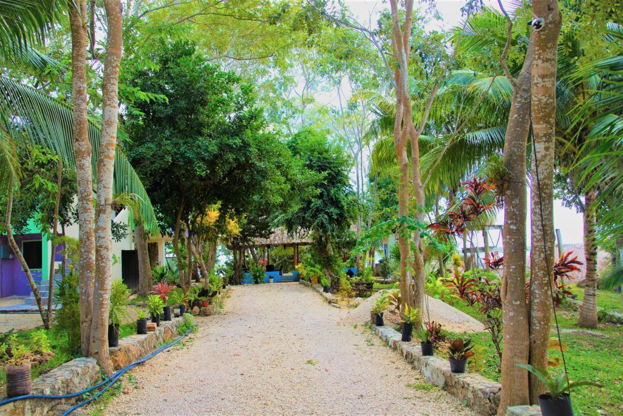 El Roble Nature Hotel&lagoon *