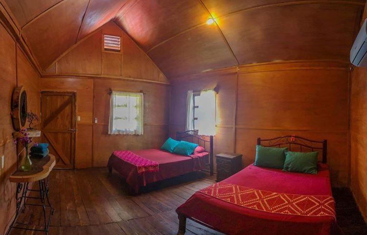 Green Monkey Guest house